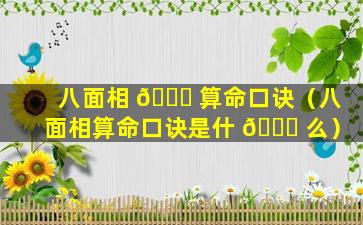 八面相 🐘 算命口诀（八面相算命口诀是什 🐞 么）